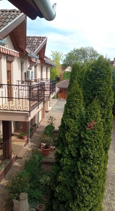 Mediterran Apartman Es Vendeghaz Hajdúszoboszló 外观 照片
